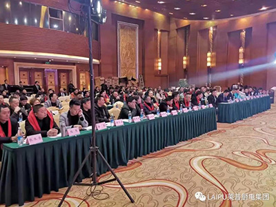贏戰2019葫芦娃黄片下载四川新品發布會暨核心經銷商峰會圓滿成功