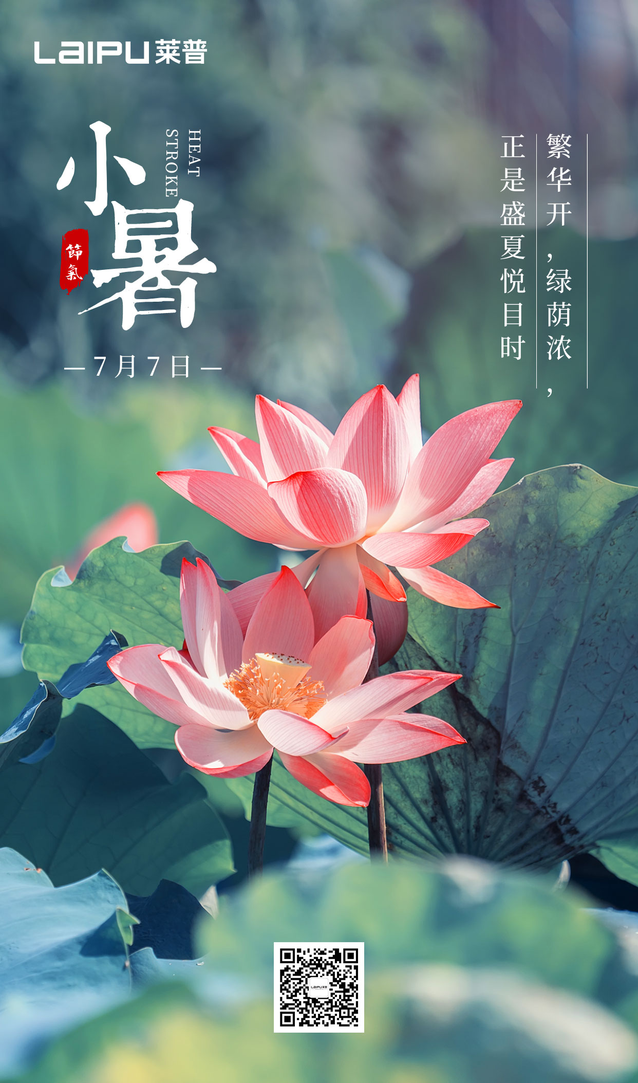 小暑丨小暑清和夏日長，葫芦娃成人短视频無煙風自涼