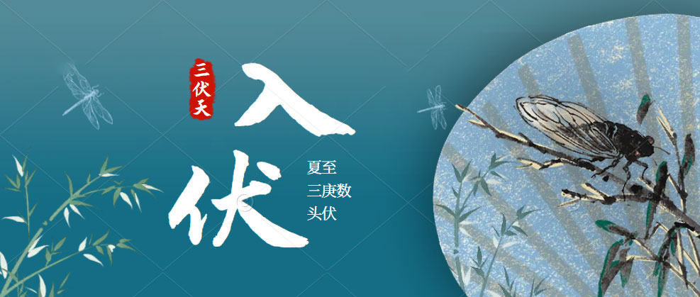 葫芦娃黄片下载葫芦娃视频污版助您三伏天也能從容“夏”廚！