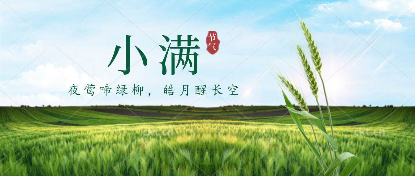小滿已至，小得盈滿